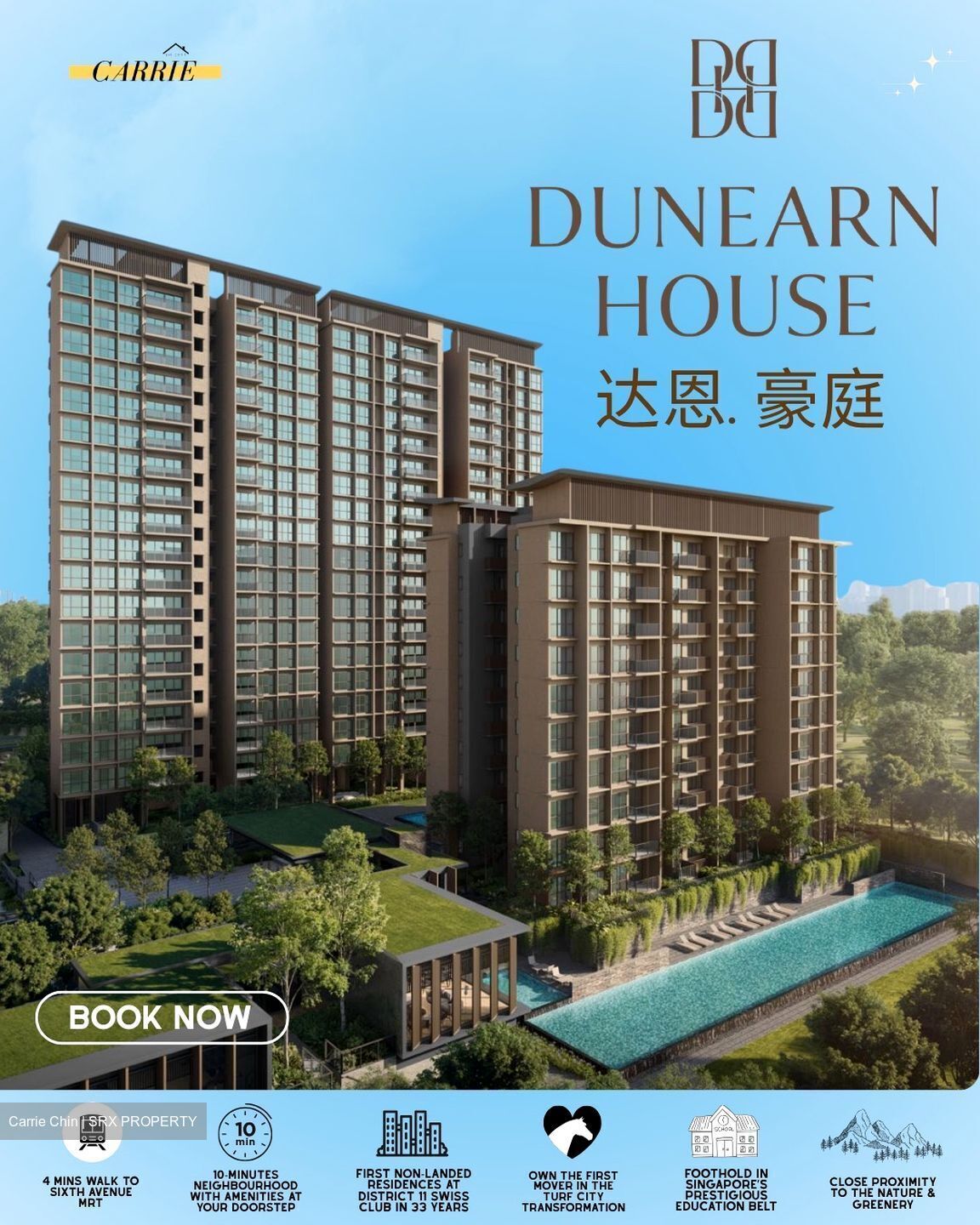 Dunearn Road (D11), Condominium #590428961